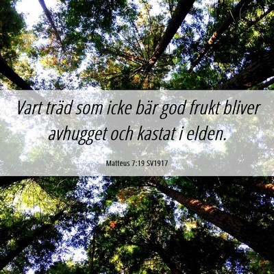 Picture 06 - Matteus 7:19 SV1917 - Vart träd som icke bär god frukt bliver - Bible Verse Picture
