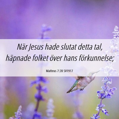 Picture 06 - Matteus 7:28 SV1917 - När Jesus hade slutat detta tal, häpnade folket - Bible Verse Picture