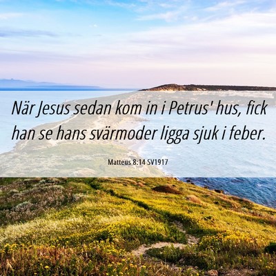 Picture 06 - Matteus 8:14 SV1917 - När Jesus sedan kom in i Petrus' hus, fick han - Bible Verse Picture