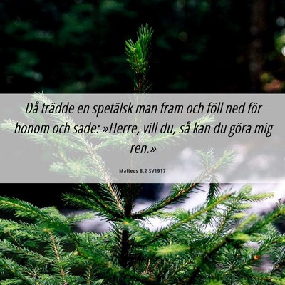 Picture 06 - Matteus 8:2 SV1917 - Då trädde en spetälsk man fram och föll ned - Bible Verse Picture