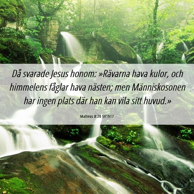Picture 06 - Matteus 8:20 SV1917 - Då svarade Jesus honom: »Rävarna hava kulor, - Bible Verse Picture