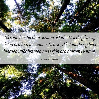 Picture 06 - Matteus 8:32 SV1917 - Då sade han till dem: »Faren åstad.» Och de - Bible Verse Picture