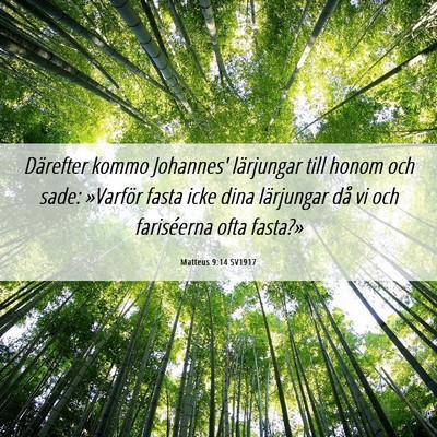 Picture 06 - Matteus 9:14 SV1917 - Därefter kommo Johannes' lärjungar till honom - Bible Verse Picture