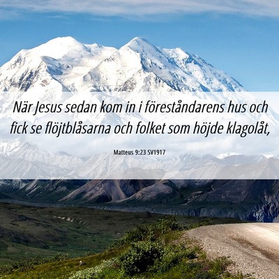 Picture 06 - Matteus 9:23 SV1917 - När Jesus sedan kom in i föreståndarens hus - Bible Verse Picture
