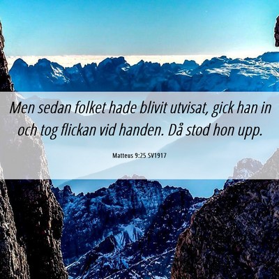 Picture 06 - Matteus 9:25 SV1917 - Men sedan folket hade blivit utvisat, gick han in - Bible Verse Picture