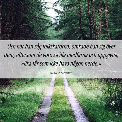 Picture 06 - Matteus 9:36 SV1917 - Och när han såg folkskarorna, ömkade han sig - Bible Verse Picture