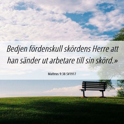 Picture 06 - Matteus 9:38 SV1917 - Bedjen fördenskull skördens Herre att han - Bible Verse Picture