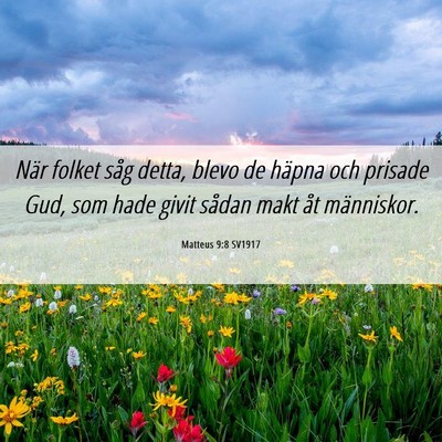 Picture 06 - Matteus 9:8 SV1917 - När folket såg detta, blevo de häpna och - Bible Verse Picture