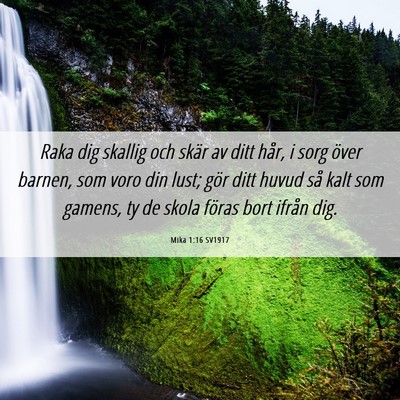 Picture 06 - Mika 1:16 SV1917 - Raka dig skallig och skär av ditt hår, i sorg - Bible Verse Picture