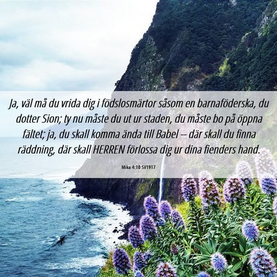 Picture 06 - Mika 4:10 SV1917 - Ja, väl må du vrida dig i födslosmärtor - Bible Verse Picture