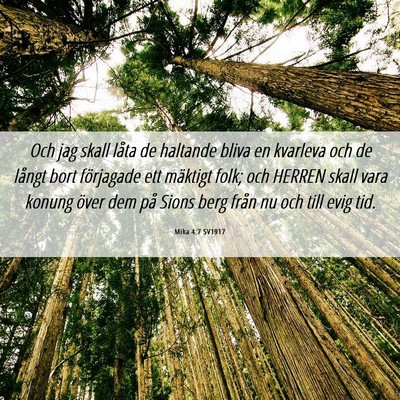 Picture 06 - Mika 4:7 SV1917 - Och jag skall låta de haltande bliva en kvarleva - Bible Verse Picture