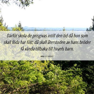 Picture 06 - Mika 5:3 SV1917 - Därför skola de prisgivas intill den tid då - Bible Verse Picture