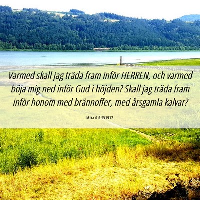 Picture 06 - Mika 6:6 SV1917 - Varmed skall jag träda fram inför HERREN, och - Bible Verse Picture