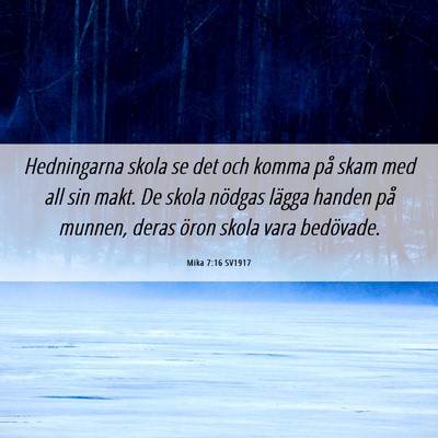 Picture 06 - Mika 7:16 SV1917 - Hedningarna skola se det och komma på skam med - Bible Verse Picture