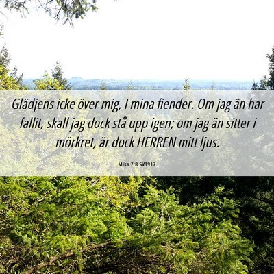 Picture 06 - Mika 7:8 SV1917 - Glädjens icke över mig, I mina fiender. Om jag - Bible Verse Picture