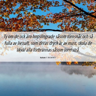 Picture 06 - Nahum 1:10 SV1917 - Ty om de ock äro hopslingrade såsom törnsnår - Bible Verse Picture