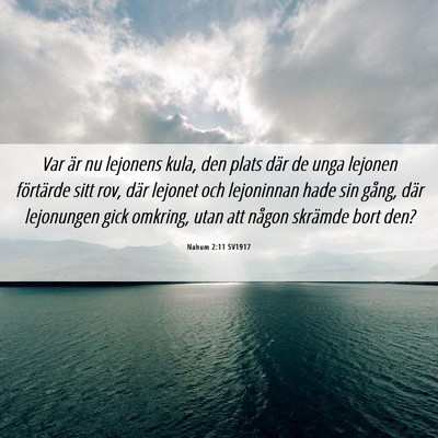 Picture 06 - Nahum 2:11 SV1917 - Var är nu lejonens kula, den plats där de unga - Bible Verse Picture