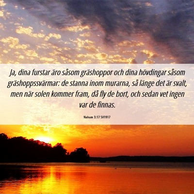 Picture 06 - Nahum 3:17 SV1917 - Ja, dina furstar äro såsom gräshoppor och dina - Bible Verse Picture