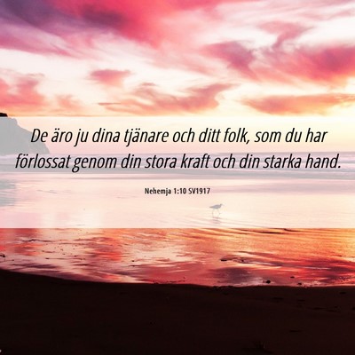 Picture 06 - Nehemja 1:10 SV1917 - De äro ju dina tjänare och ditt folk, som du - Bible Verse Picture