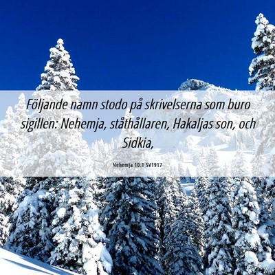 Picture 06 - Nehemja 10:1 SV1917 - Följande namn stodo på skrivelserna som buro - Bible Verse Picture