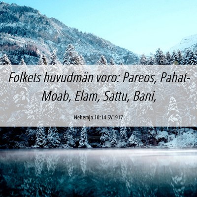 Picture 06 - Nehemja 10:14 SV1917 - Folkets huvudmän voro: Pareos, Pahat-Moab, Elam, - Bible Verse Picture