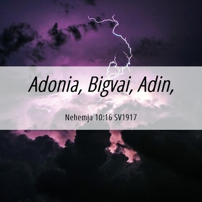 Picture 06 - Nehemja 10:16 SV1917 - Adonia, Bigvai, - Bible Verse Picture