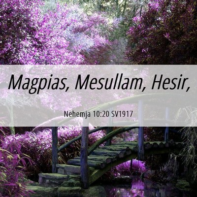 Picture 06 - Nehemja 10:20 SV1917 - Magpias, Mesullam, - Bible Verse Picture