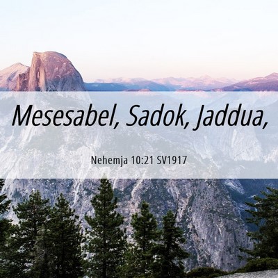 Picture 06 - Nehemja 10:21 SV1917 - Mesesabel, Sadok, - Bible Verse Picture