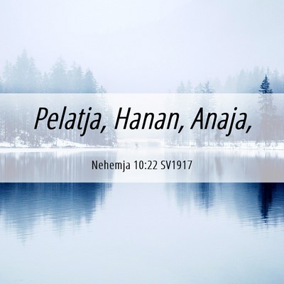 Picture 06 - Nehemja 10:22 SV1917 - Pelatja, Hanan, - Bible Verse Picture