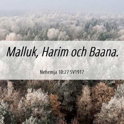 Picture 06 - Nehemja 10:27 SV1917 - Malluk, Harim och - Bible Verse Picture