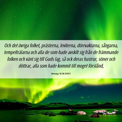 Picture 06 - Nehemja 10:28 SV1917 - Och det övriga folket, prästerna, leviterna, - Bible Verse Picture