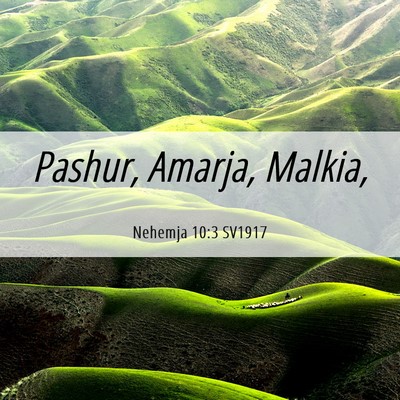 Picture 06 - Nehemja 10:3 SV1917 - Pashur, Amarja, - Bible Verse Picture