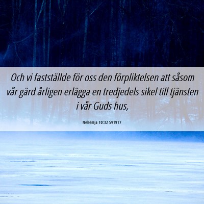 Picture 06 - Nehemja 10:32 SV1917 - Och vi fastställde för oss den förpliktelsen - Bible Verse Picture