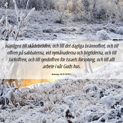 Picture 06 - Nehemja 10:33 SV1917 - nämligen till skådebröden, och till det - Bible Verse Picture