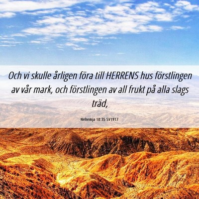 Picture 06 - Nehemja 10:35 SV1917 - Och vi skulle årligen föra till HERRENS hus - Bible Verse Picture