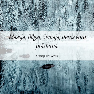 Picture 06 - Nehemja 10:8 SV1917 - Maasja, Bilgai, Semaja; dessa voro - Bible Verse Picture