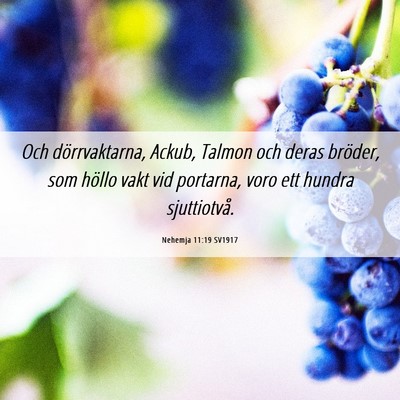 Picture 06 - Nehemja 11:19 SV1917 - Och dörrvaktarna, Ackub, Talmon och deras - Bible Verse Picture