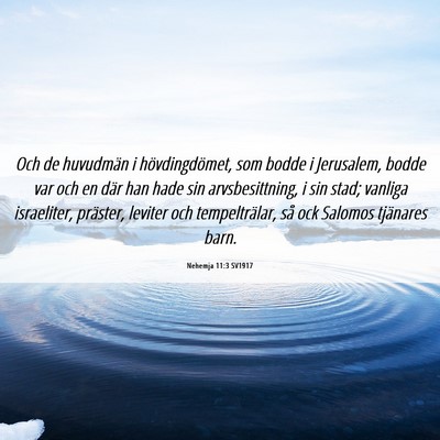 Picture 06 - Nehemja 11:3 SV1917 - Och de huvudmän i hövdingdömet, som bodde i - Bible Verse Picture