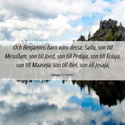 Picture 06 - Nehemja 11:7 SV1917 - Och Benjamins barn voro dessa: Sallu, son till - Bible Verse Picture