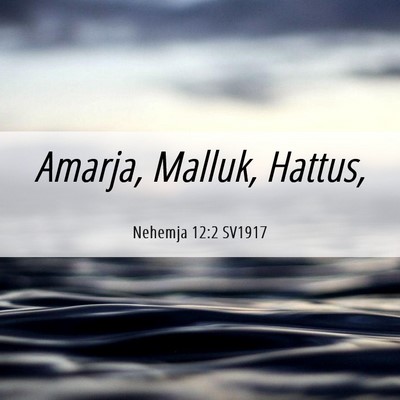 Picture 06 - Nehemja 12:2 SV1917 - Amarja, Malluk, - Bible Verse Picture