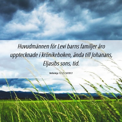 Picture 06 - Nehemja 12:23 SV1917 - Huvudmännen för Levi barns familjer äro - Bible Verse Picture