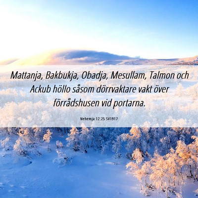 Picture 06 - Nehemja 12:25 SV1917 - Mattanja, Bakbukja, Obadja, Mesullam, Talmon och - Bible Verse Picture