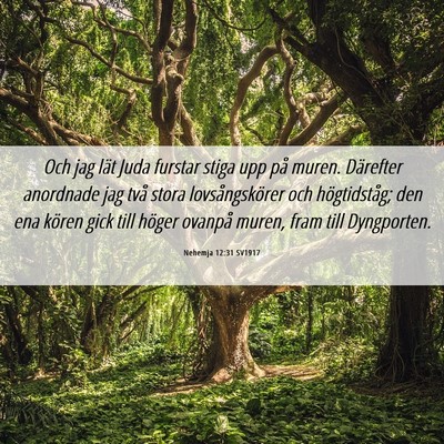 Picture 06 - Nehemja 12:31 SV1917 - Och jag lät Juda furstar stiga upp på muren. - Bible Verse Picture