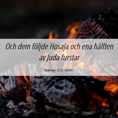 Picture 06 - Nehemja 12:32 SV1917 - Och dem följde Hosaja och ena hälften av Juda - Bible Verse Picture