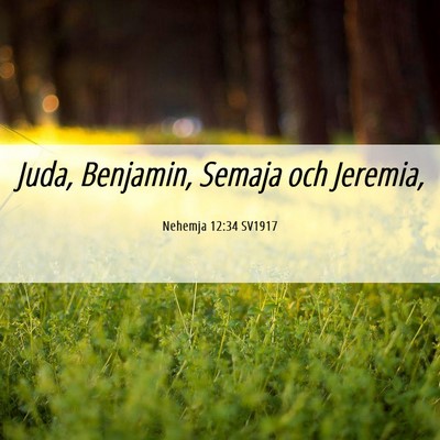 Picture 06 - Nehemja 12:34 SV1917 - Juda, Benjamin, Semaja och - Bible Verse Picture