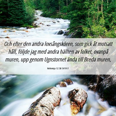 Picture 06 - Nehemja 12:38 SV1917 - Och efter den andra lovsångskören, som gick åt - Bible Verse Picture