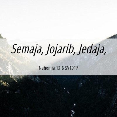 Picture 06 - Nehemja 12:6 SV1917 - Semaja, Jojarib, - Bible Verse Picture