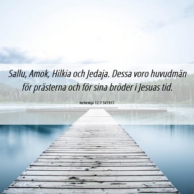 Picture 06 - Nehemja 12:7 SV1917 - Sallu, Amok, Hilkia och Jedaja. Dessa voro - Bible Verse Picture