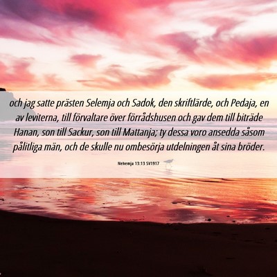Picture 06 - Nehemja 13:13 SV1917 - och jag satte prästen Selemja och Sadok, den - Bible Verse Picture