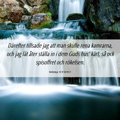 Picture 06 - Nehemja 13:9 SV1917 - Därefter tillsade jag att man skulle rena - Bible Verse Picture
